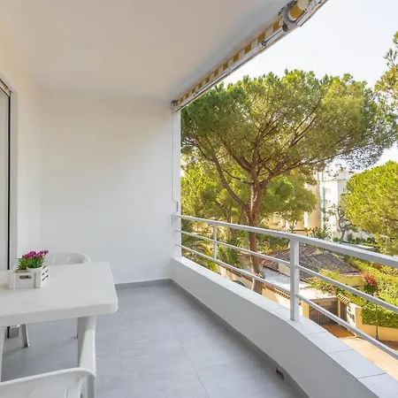 Apartment Near The