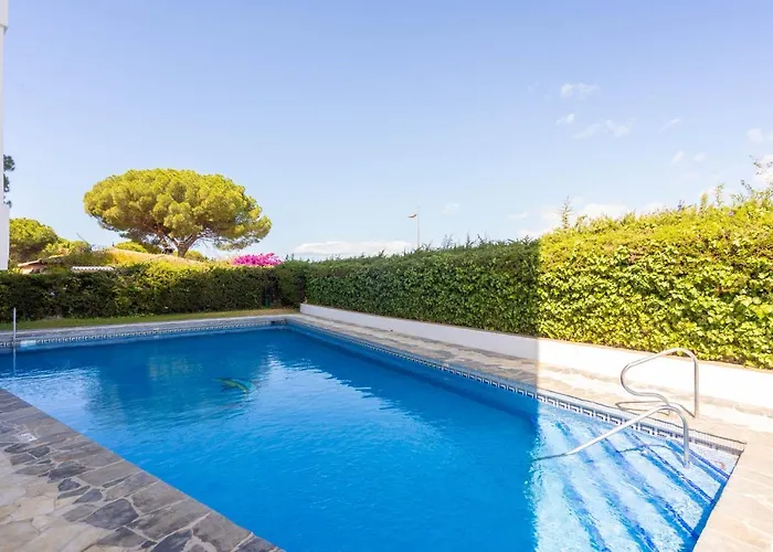 Near The * Marbella